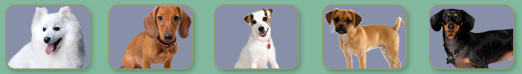 image header